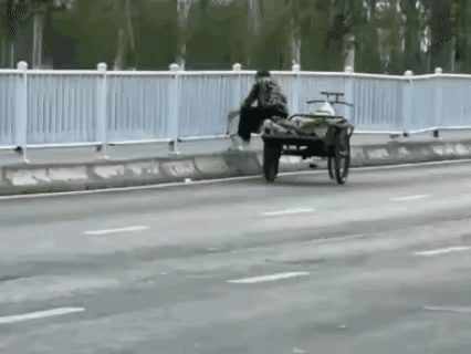 穷疯了，捡废铁居然都捡到马路护栏上了，护栏好好的，还上去用脚踹掉，然后用手掰下来