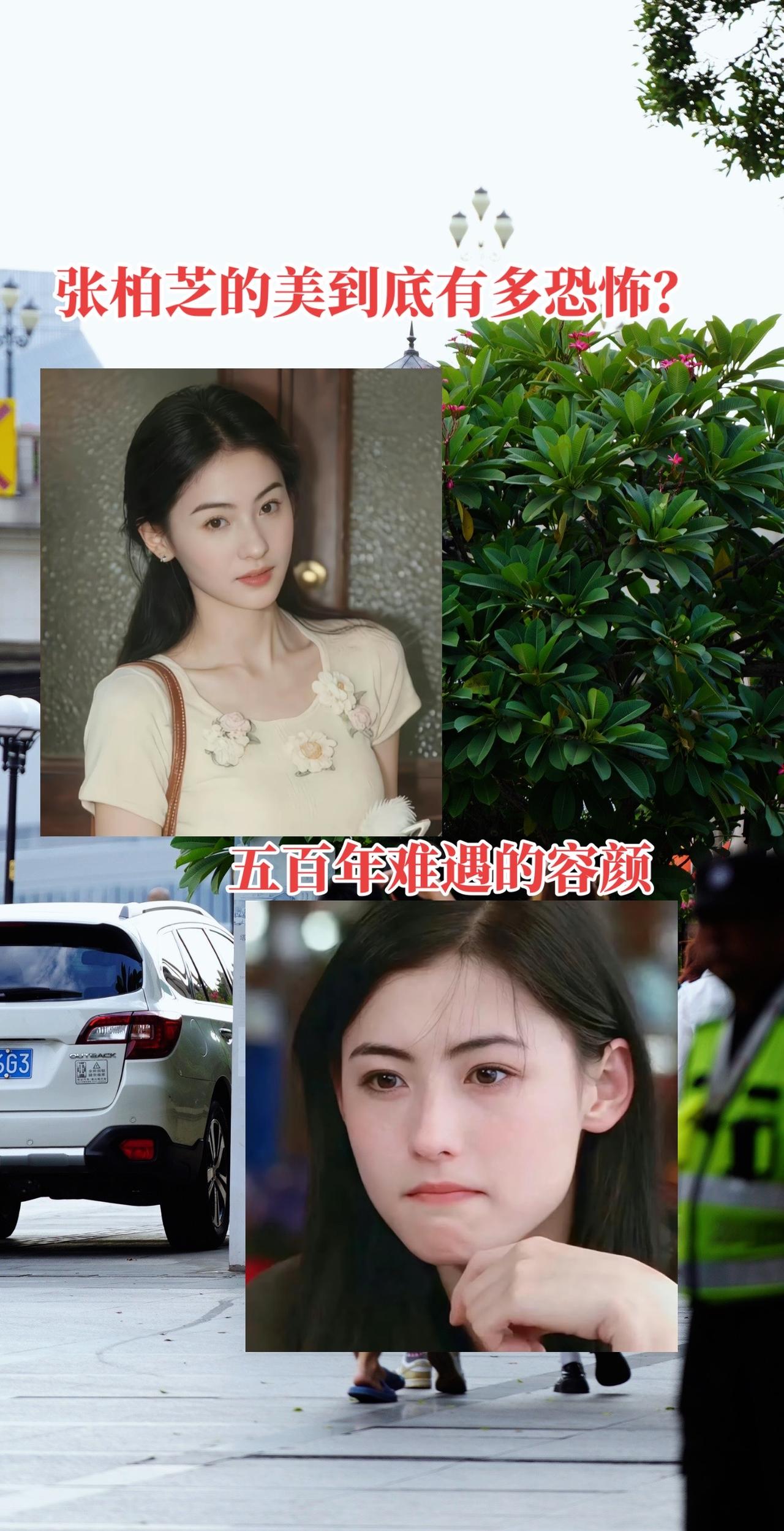 张柏芝的美到底有多恐怖？