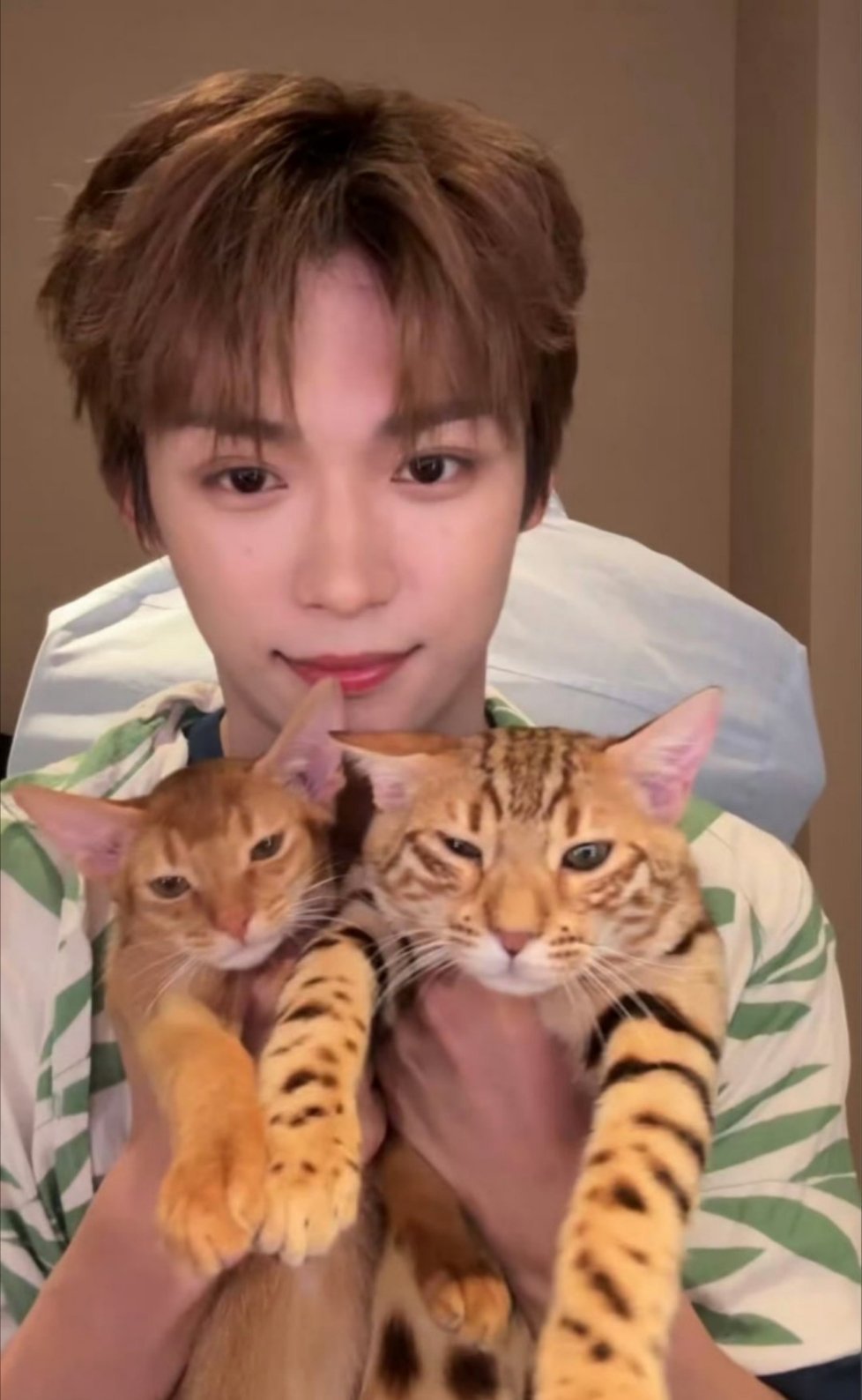 大家觉得梓瑜的直播状态怎么样？ 