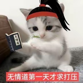 不想说 本来就很👭 背刺过一次不会让东窗再发 