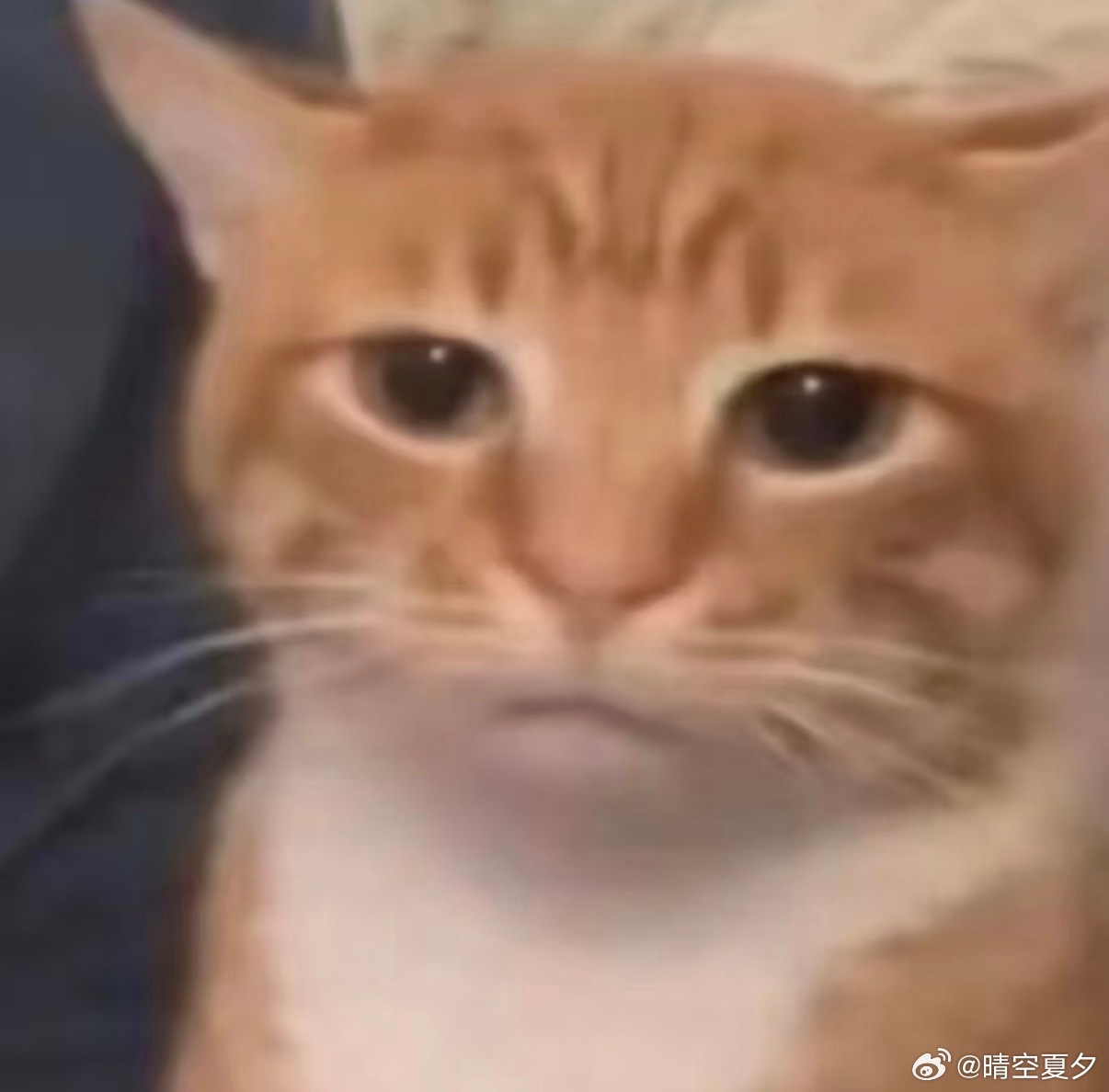 被限流了还是bug还没好还是怎么了，怎么评论没有转发也没有还是就是没有啊 