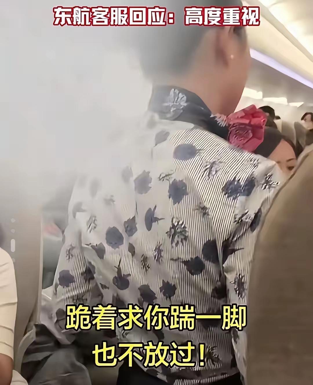 东航逼空姐下跪的，欧姓乘客可不白给！他绝不是简单的企业高管！他能逼得女空乘下跪！
