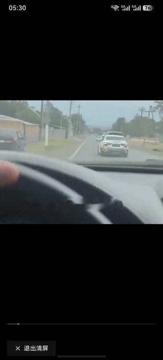 白车：我都撞烂了，我怕你？
黑车：我车牌都没有了，我怕你？
两个车子的司机，成功