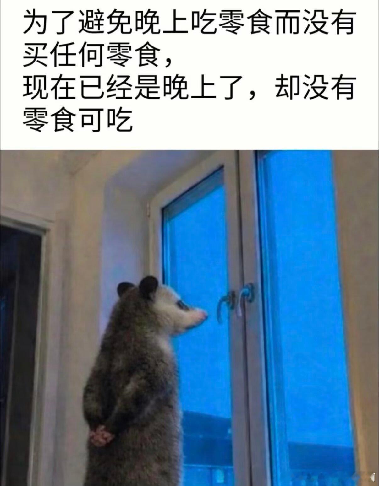 3627我就这样 