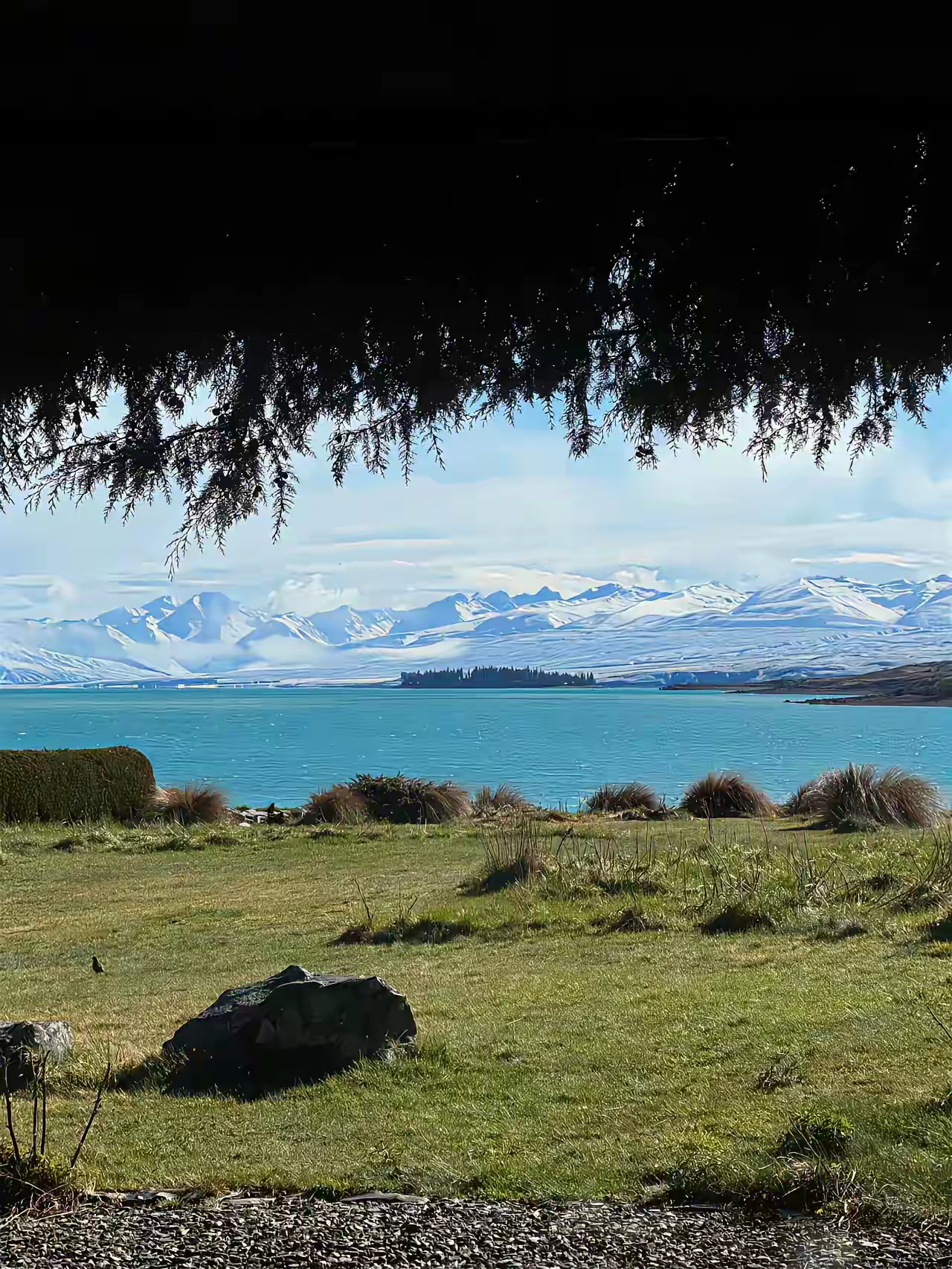 一位探店博主说:很多spa技师相当可恶！你去做一个二三百块钱的精油推拿，她会在项