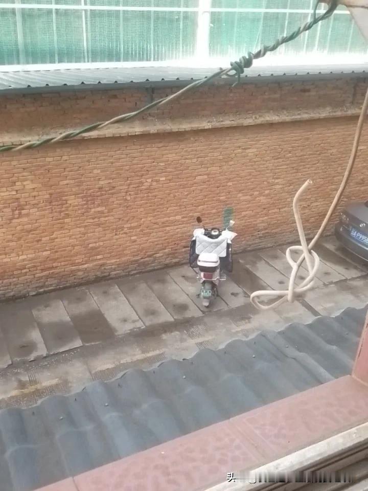 你心中的昆明是什么样的？昆明的气候非常好，一年四季不管你走到哪里都可见美丽的鲜花