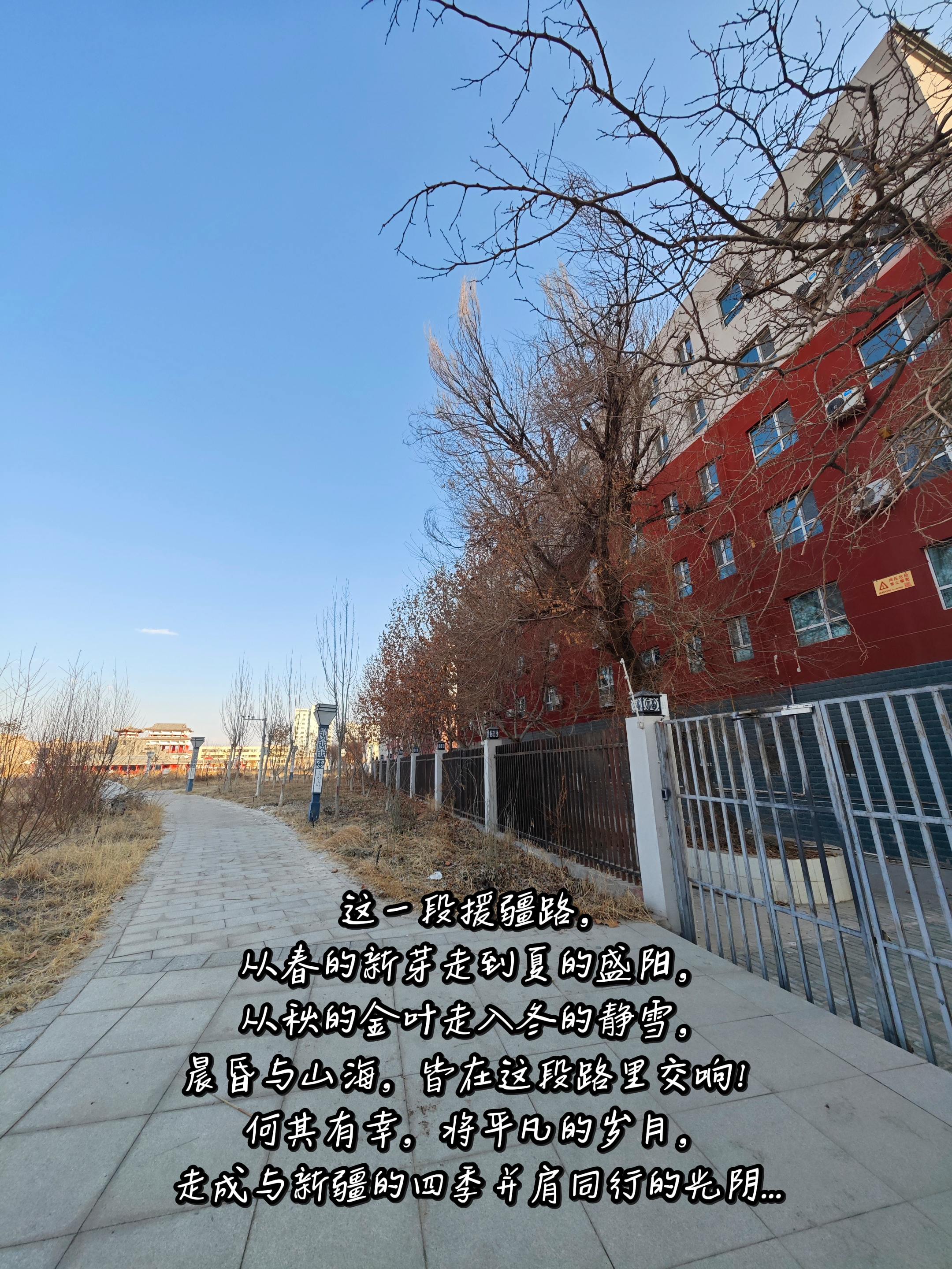援疆路。翻看相册，这一段援疆路， 从春的新芽走到夏的盛阳， 从秋的金叶...