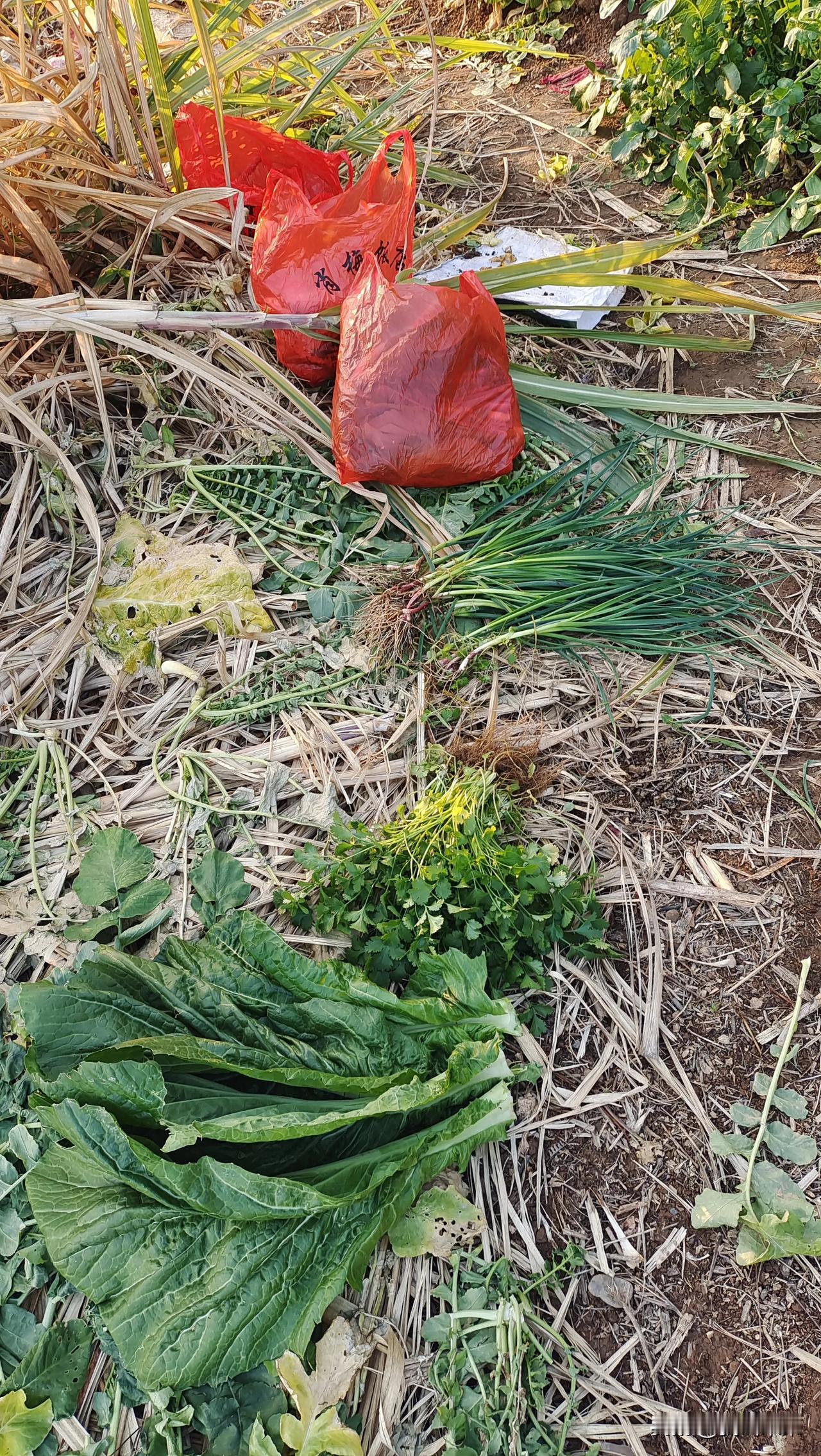 怎么才能人间清醒，你看完就明白了。隔壁老王娶了个女强人，天天开保时捷接送孩子，但