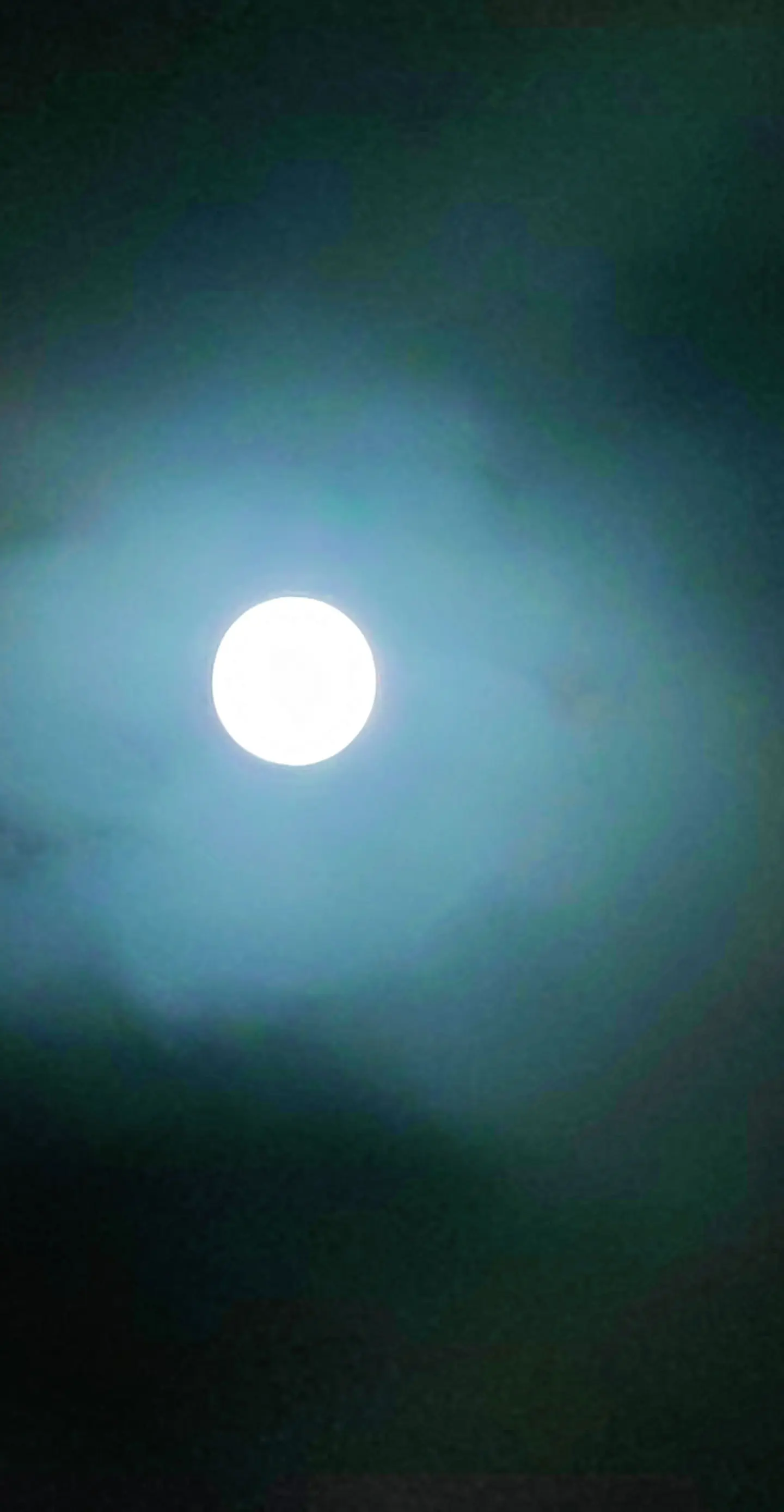 一个假期整天下雨下雨，终于看见月美低儿了