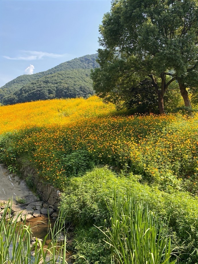 今天继续做油和气了，场内做踢就是。别的最好不要碰，全球共振杀跌，不要刀头舔血。 