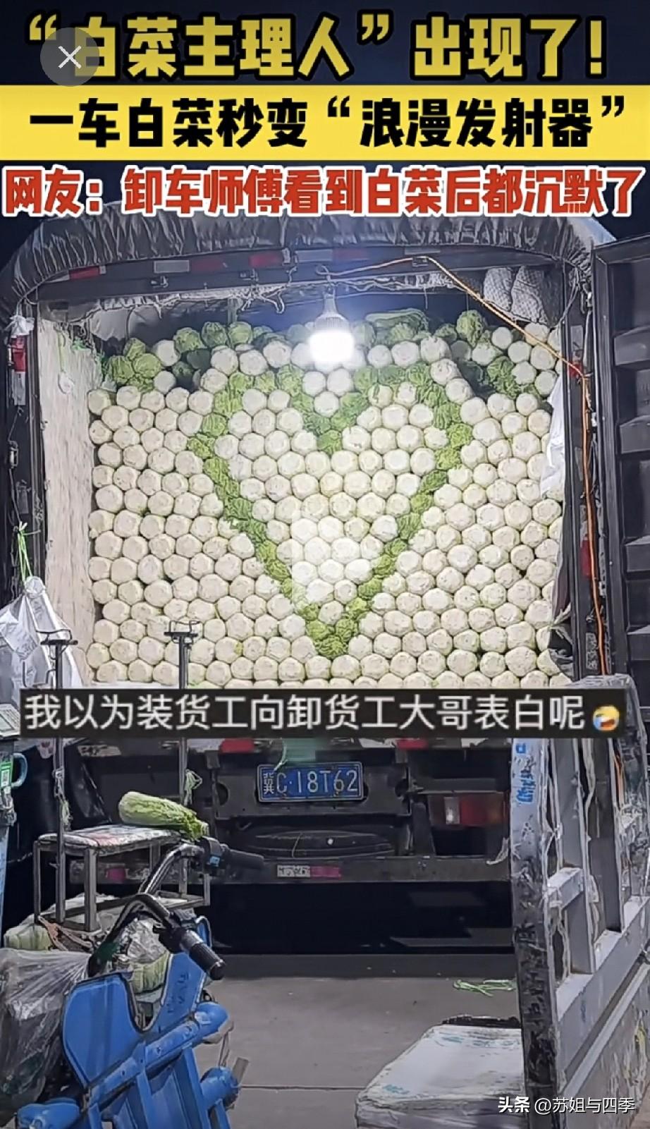 网友热评真心卖了个白菜价!大白菜的浪漫看到是不是很惊艳？装车师傅一定是个很爱生活