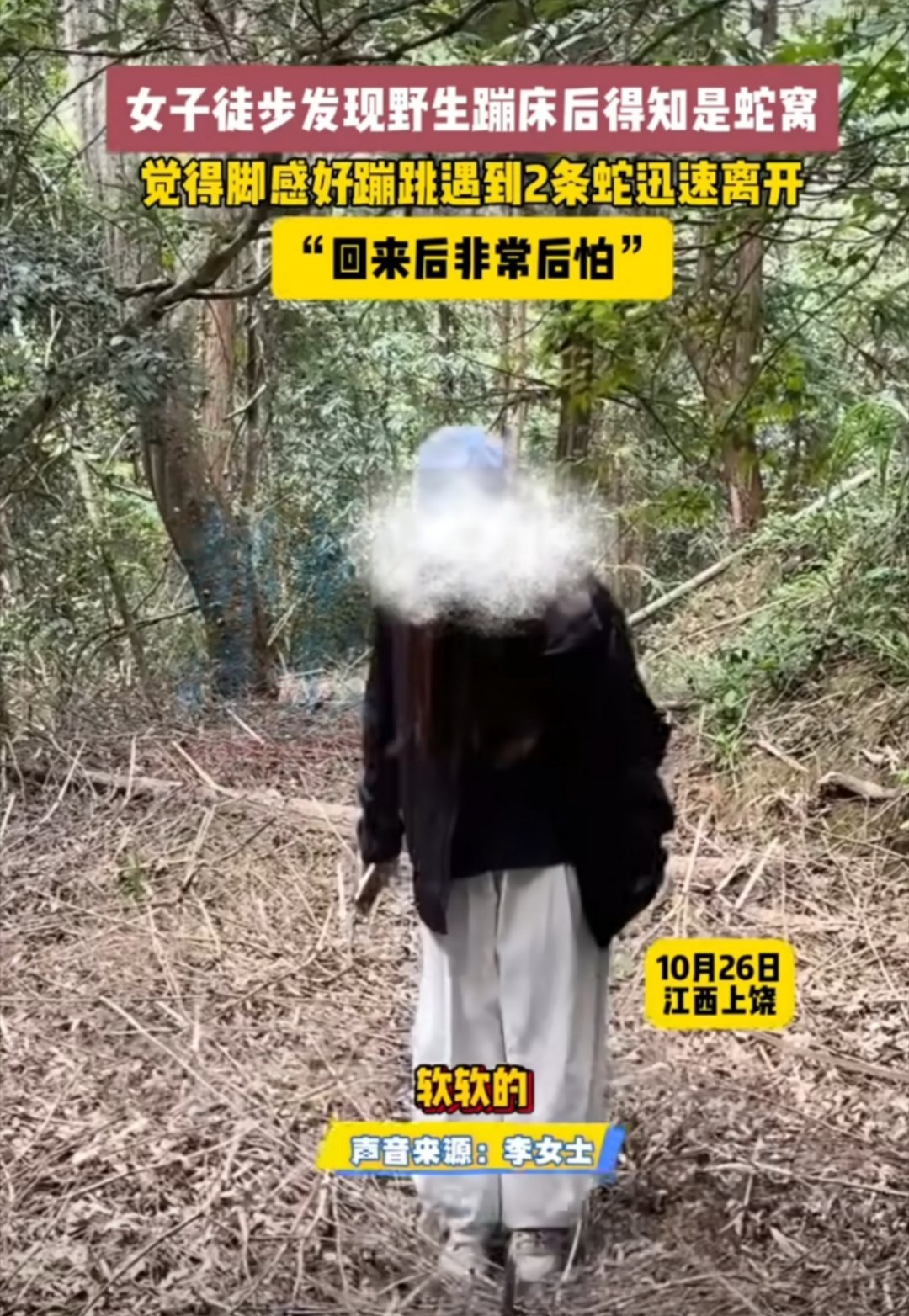 女子徒步误将蛇窝当野生蹦床天呐，好吓人啊，也是长知识了，下次进山踩到脚感软软的地