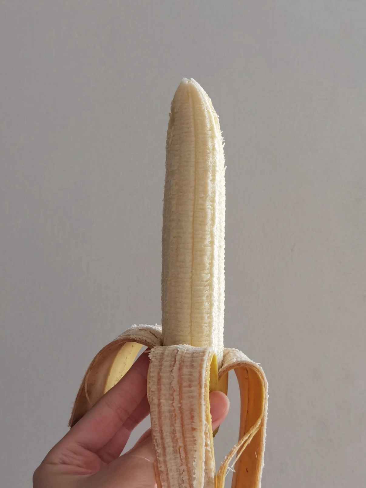 香蕉一开始其实是直的没用的知识又增加了！香蕉一开始是直的，后来才慢慢变弯的。我们