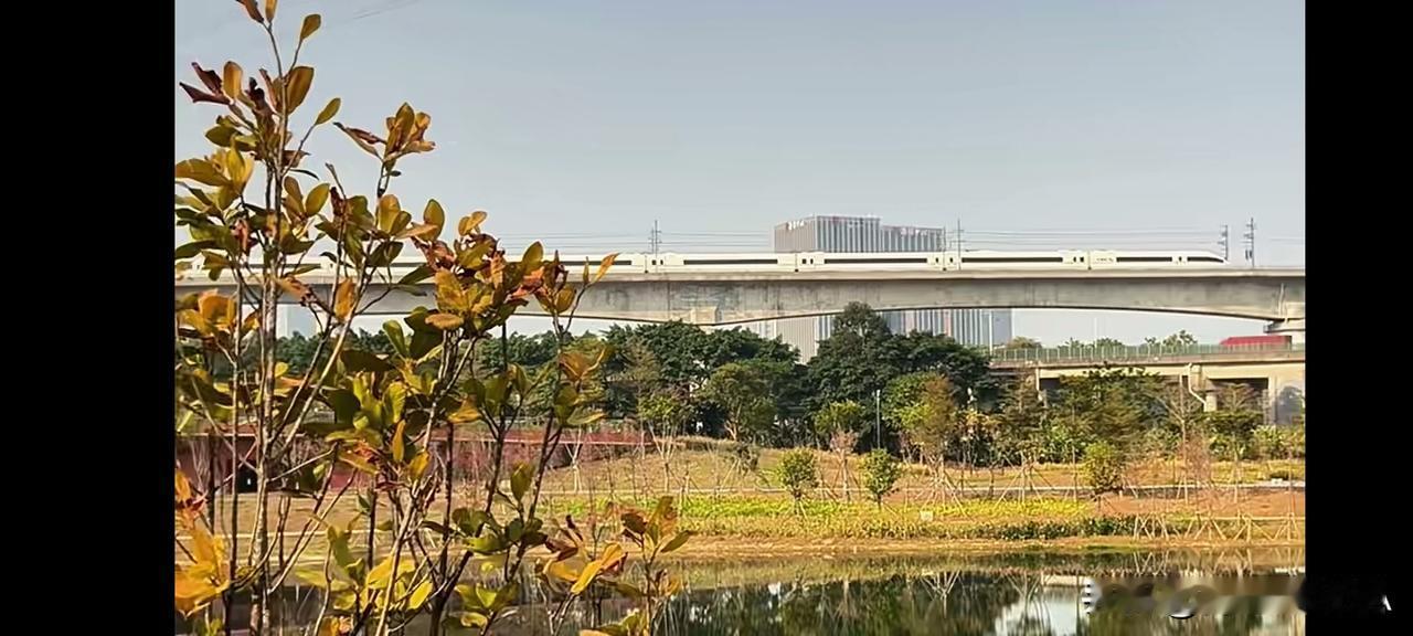 广州地铁线网图上新，延宕已久的新白广城际铁路竹料-新塘南段，还有东莞西联络线携手