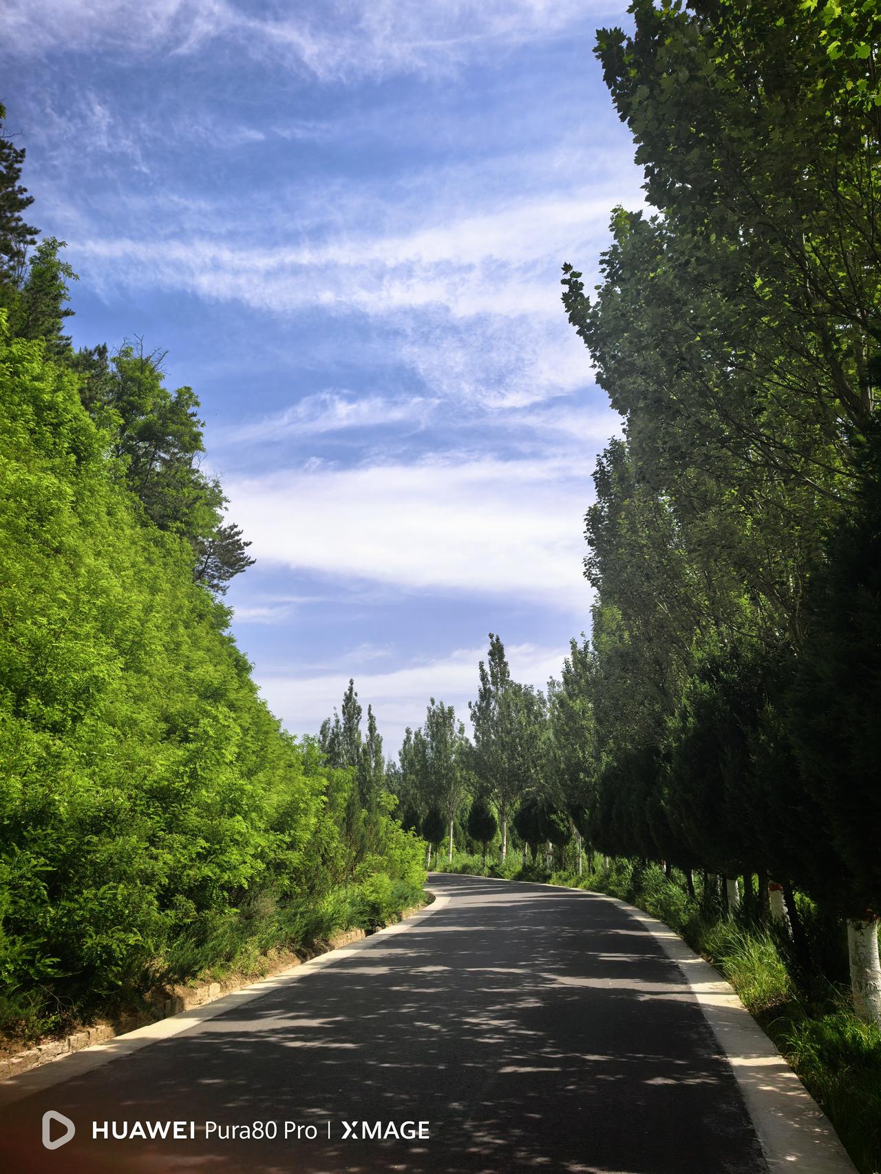 我想表达的意思是:同样的红色旅游景区、同一个地区的景区（延安地区）却使用（设置）