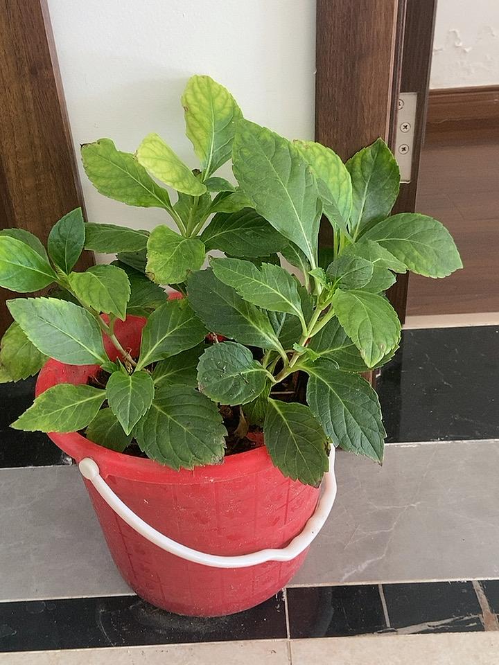 冬日生活打卡季，真是发现小确幸的好时候。
初冬的风景一绝，午后去公园，能邂逅超美