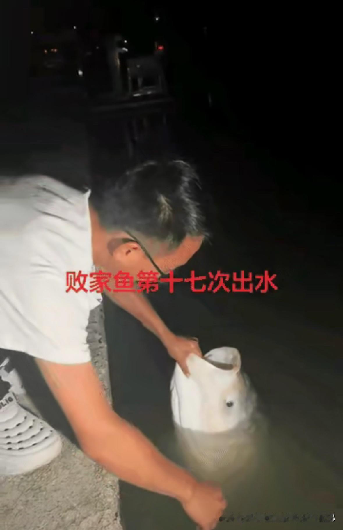 “笑不活了”浙江某钓鱼园里有一条60多斤的大鱼，因为好吃已经被钓上来17次了，钓