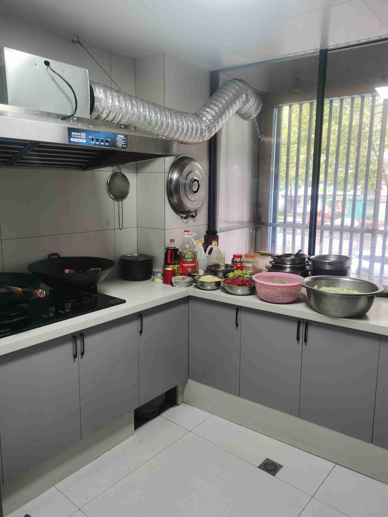 我的今日状态：😭伤心难过
我这里的天气：🌧下雨

有虫眼的叶子，依然是春天的