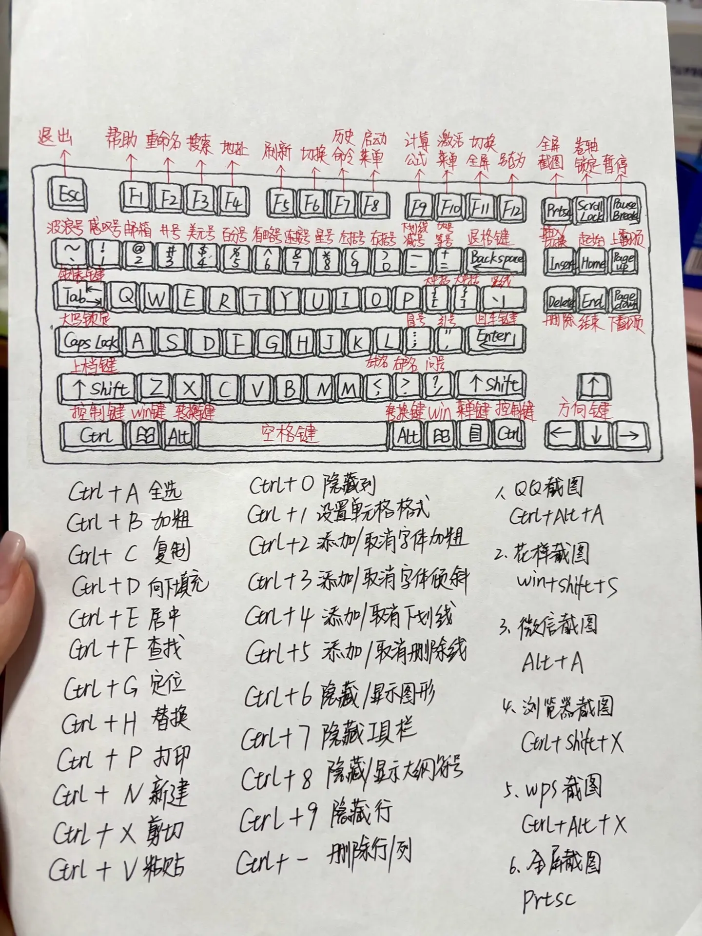 零基础学电脑从认识快捷键开始。