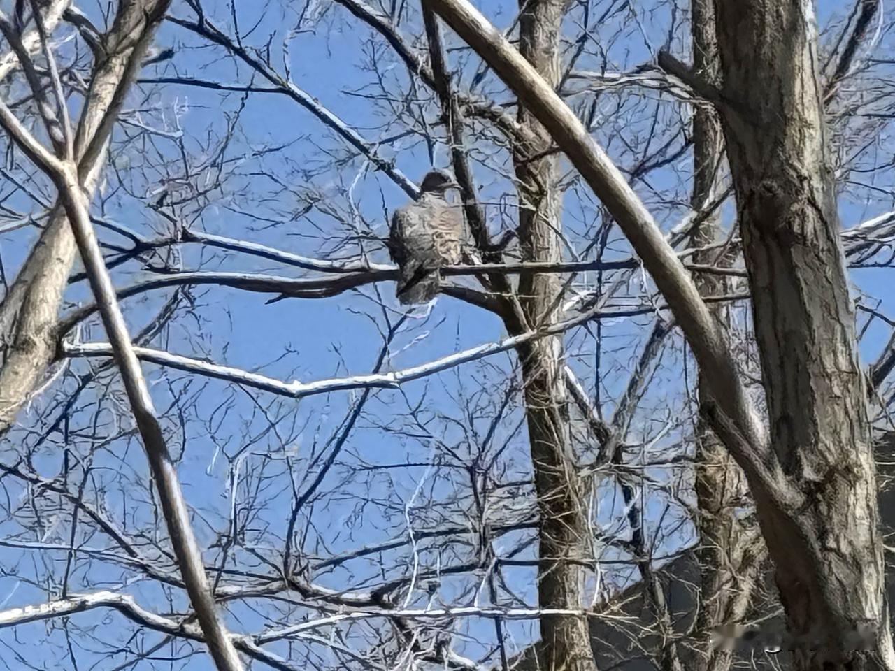 【小对联】
上：冒犯；
下：……？