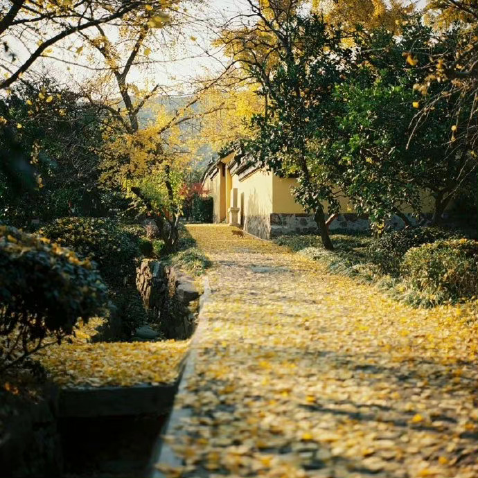 秋日游古寺，忧虑澹已忘。 ​​​