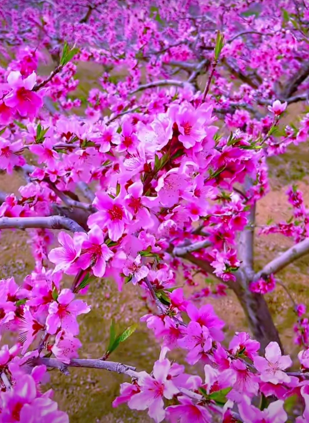 公交标语事情很明显，民心不可违，人民万岁！