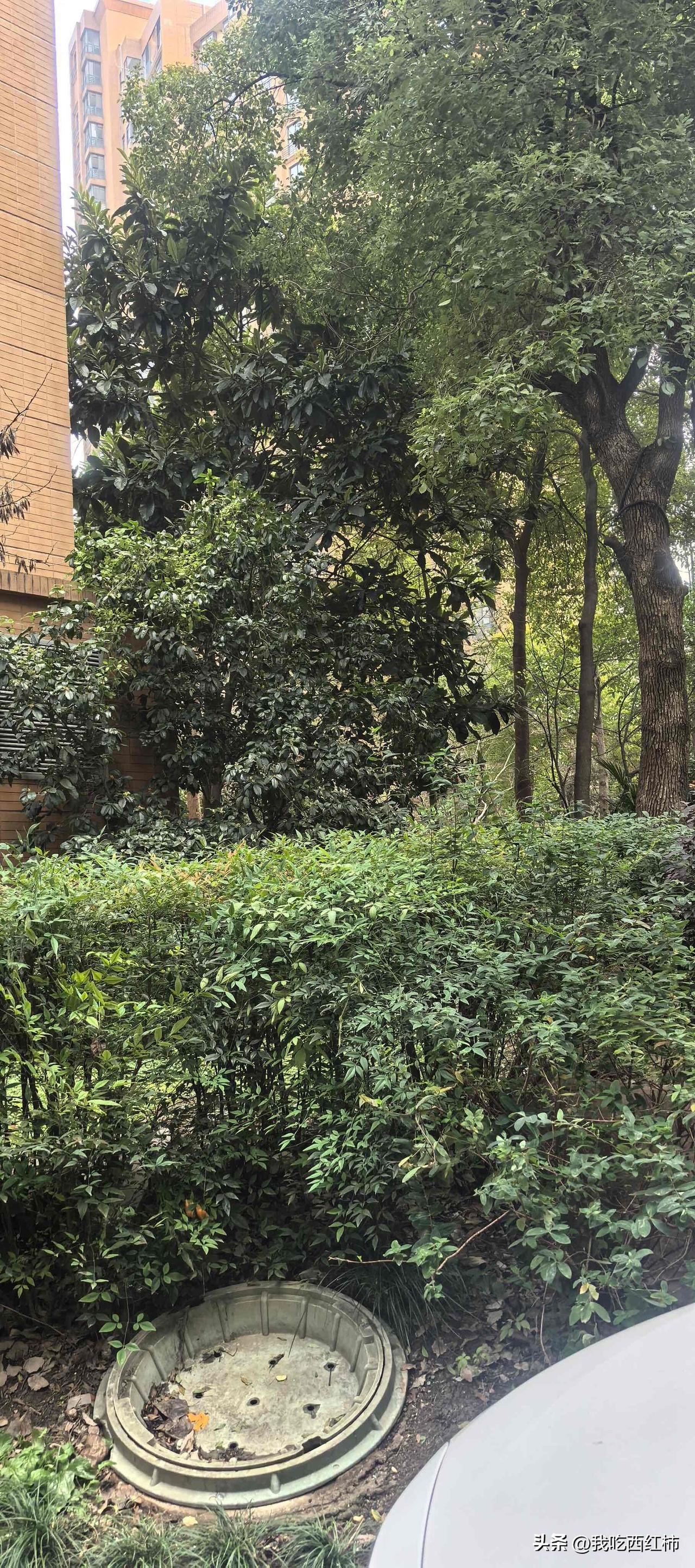 我姐从来不存钱。
我姐今年55岁，退休金6500多块钱，不过她从来不存钱，而且一