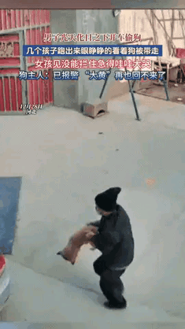 太气人了！河北，一男子开车来到一户人家门口偷狗，在偷狗的过程中被几个孩子阻拦，但