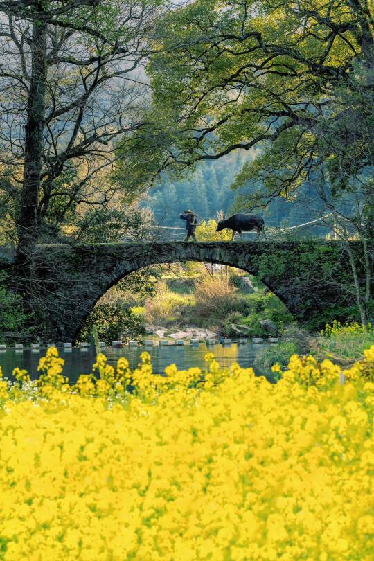 比起景德镇，我更爱这被国家地理推荐的小城