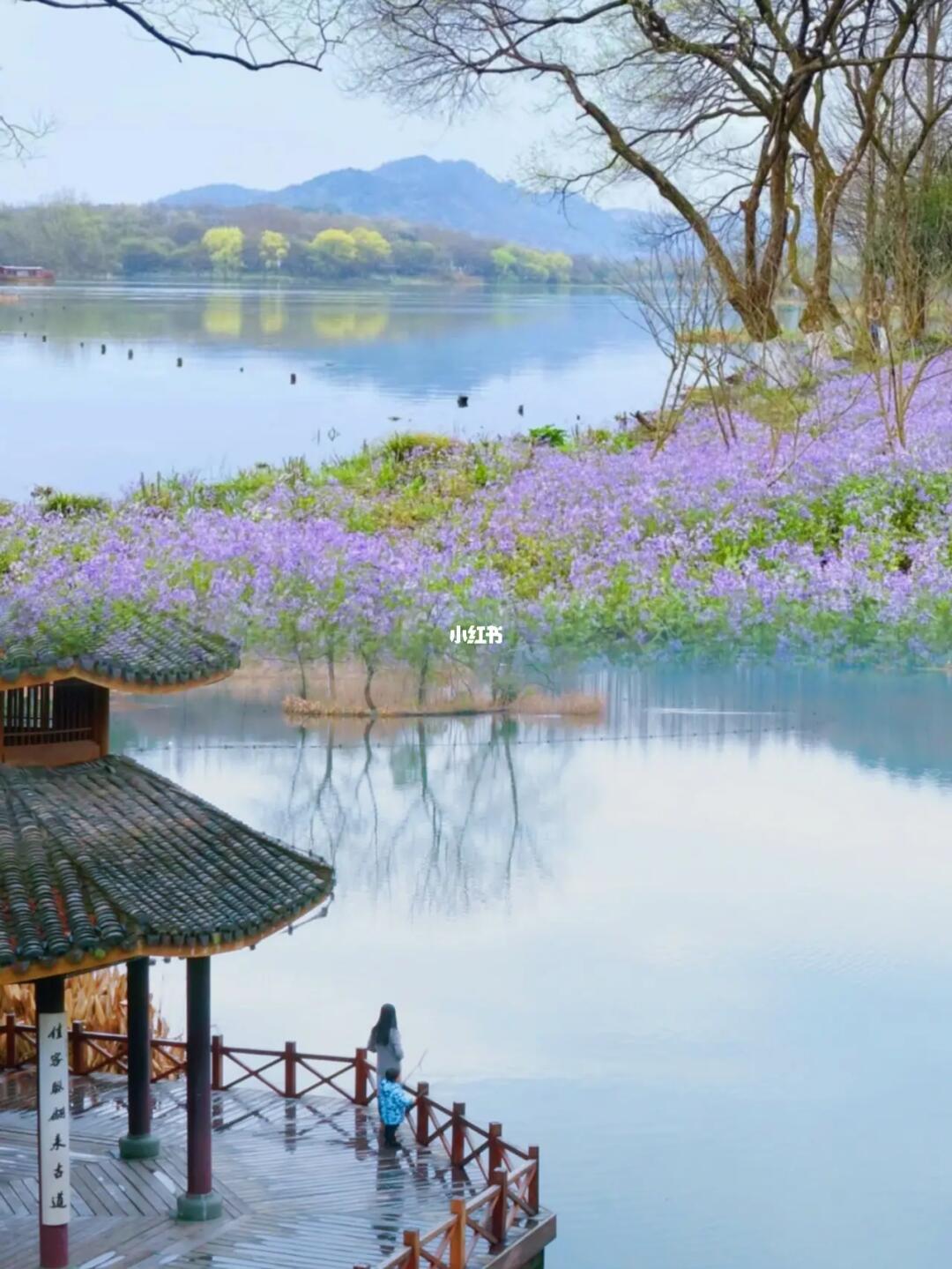 去西湖99次，还是最爱茅家埠！