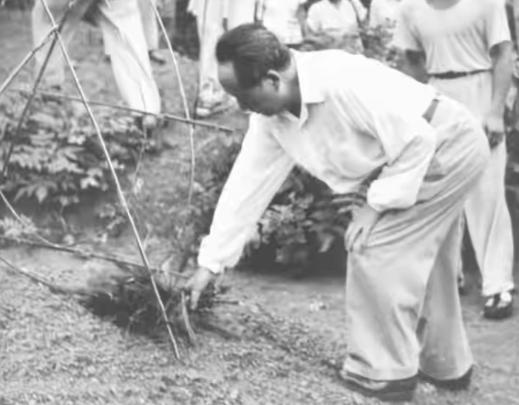 1959年，毛主席阔别32年回乡，堂弟因划为富农被阻拦两人见面，毛主席气道：“他