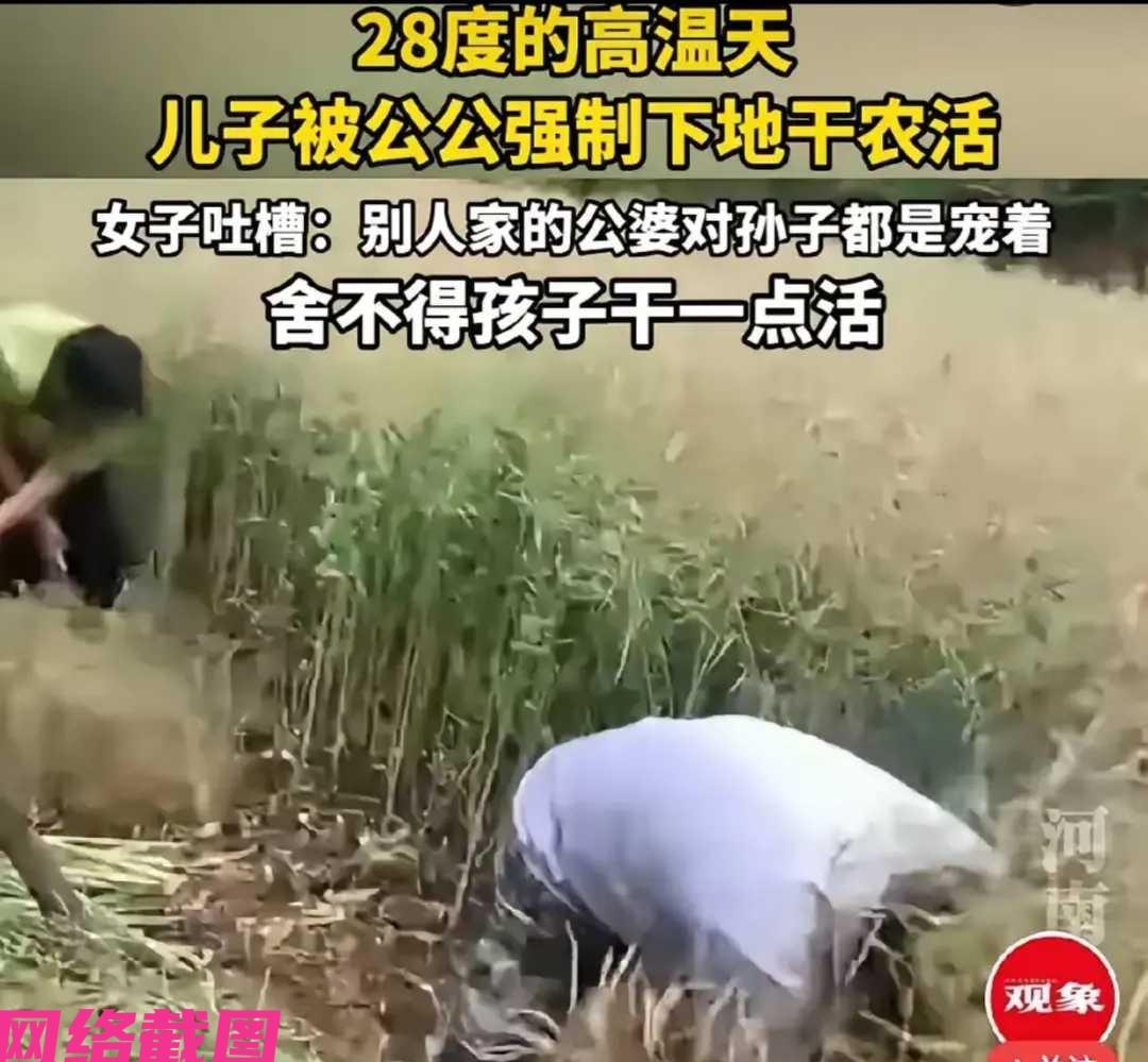 湖北有女子看年岁过六十岁的公公，在这二十八度的天气里，还把自己十四岁的儿子带去田