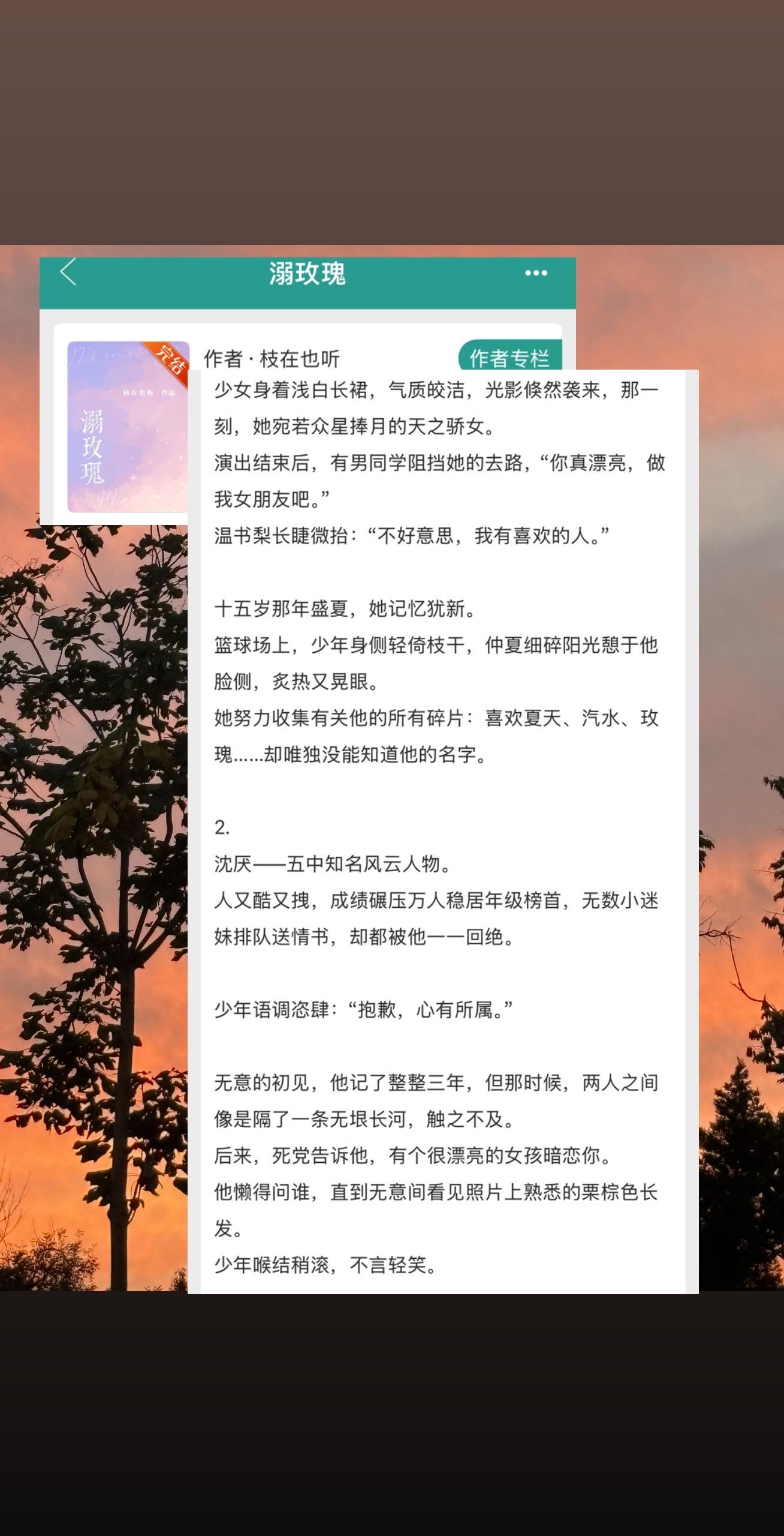 宝藏小说 言情小说 推书 小说 推文