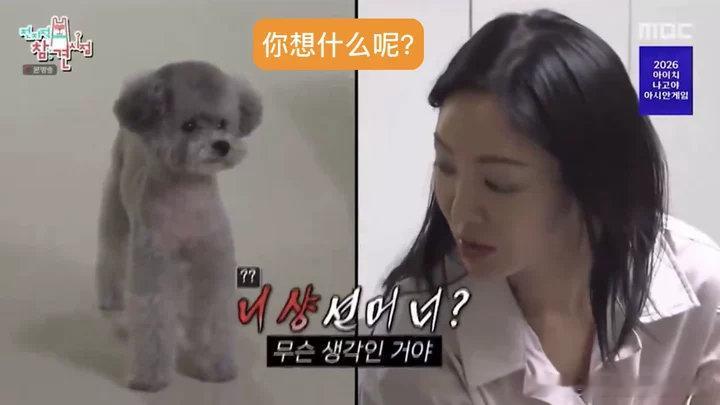 金孝渊看逐玉学中文少女时代金孝渊看张凌赫田曦薇《逐玉》！！边看边学中文 顺便用中