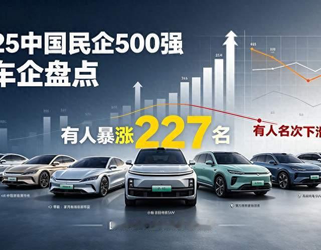 2026中国民企500强车企盘点