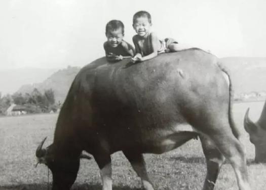 毛泽东时代人民虽不富裕却感到幸福的原因！
20世纪60年代，中国刚刚走出三年自然