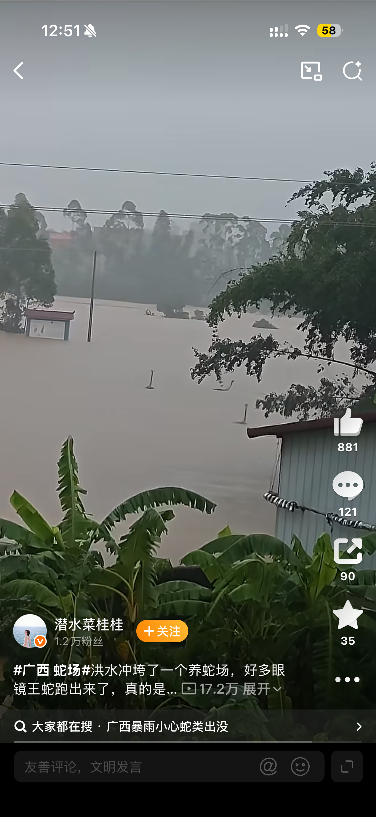 广西暴雨小心蛇类出没广西 蛇场看了图片，真的太可怕了，愿广西人民和救援人员都平安