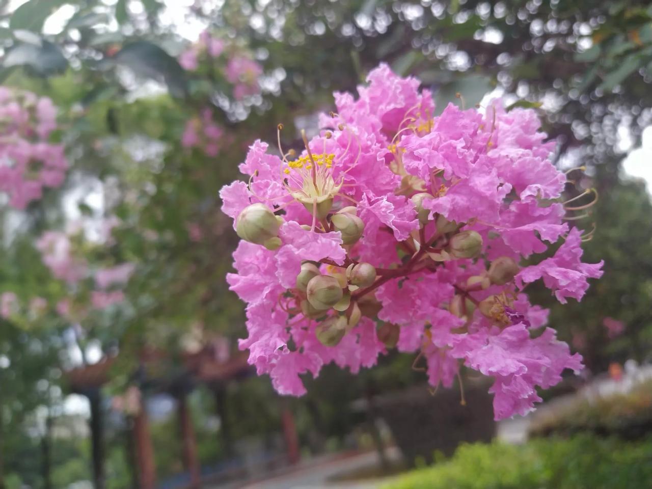 萌发远游五岳志，霞客湘江遇盗贼！
明代江苏徐霞客，江阴马镇湖庄人。生于万历14年