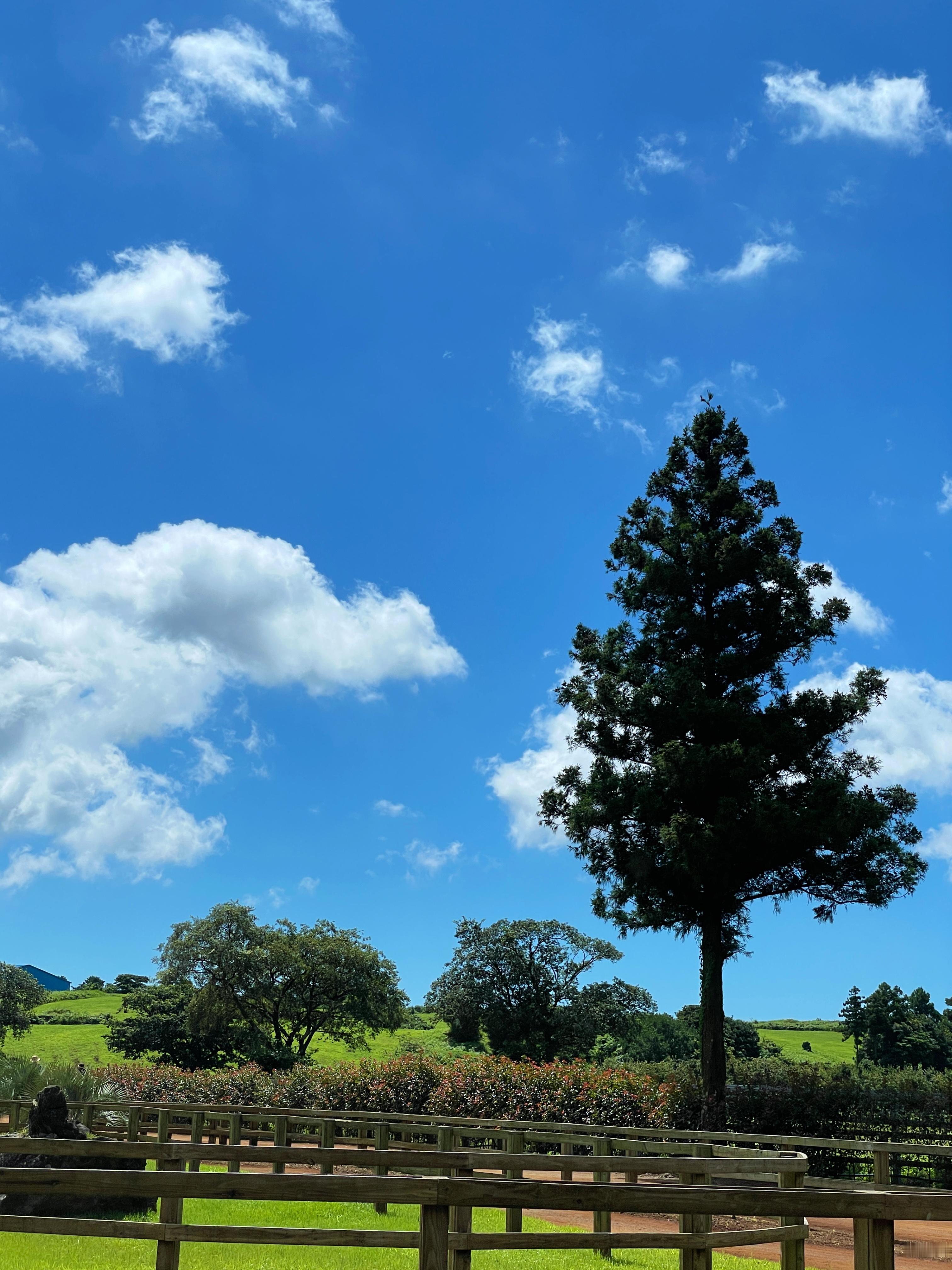 快乐假期[心]  ​​​