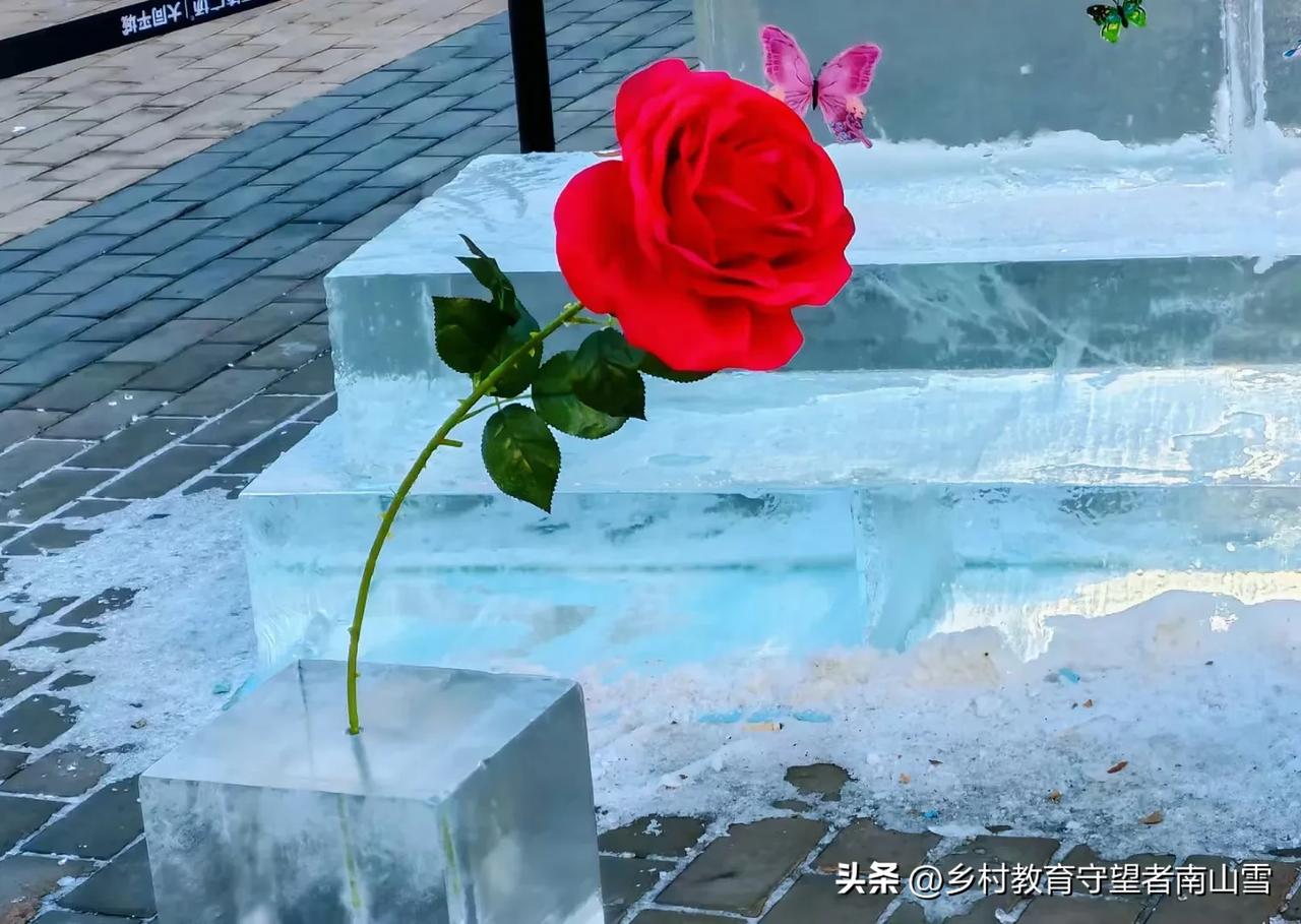 （手机拍摄：Angela，原创图片，使用请注明出处）
 记录我的2024 手机摄