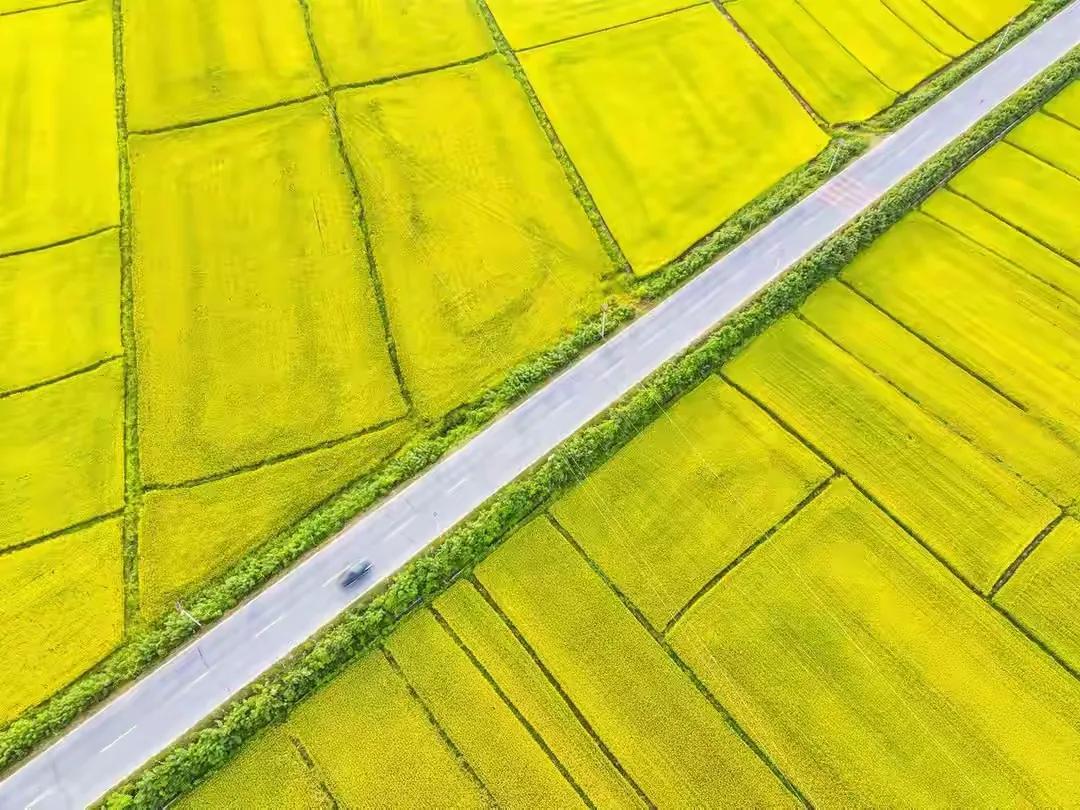 当负面情绪升起，先停下。
你此刻感觉到强烈的愤怒/悲伤/焦虑
在情绪和你之间创造