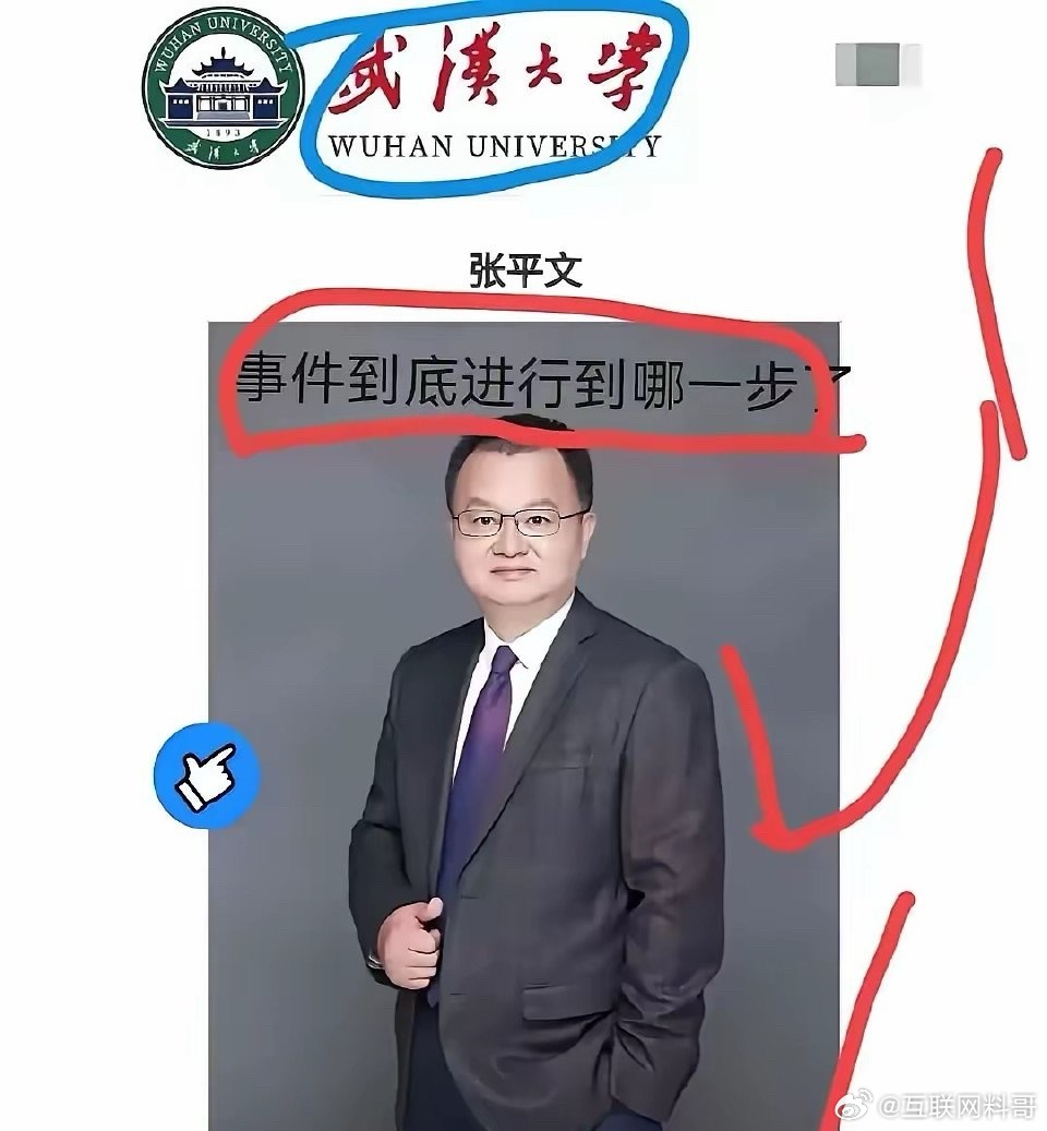 武大这次是真要出大事、变天了！其实这次事儿，重点根本不是处分撤不撤、舆论压不压，