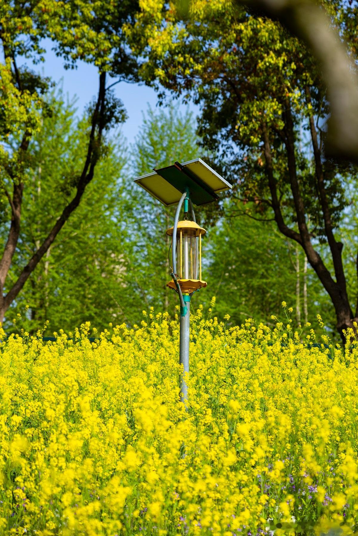 【夫妻创业股权｜避开“无限责任”的隐形陷阱】夫妻共同创业，股权若只登记在两人名下