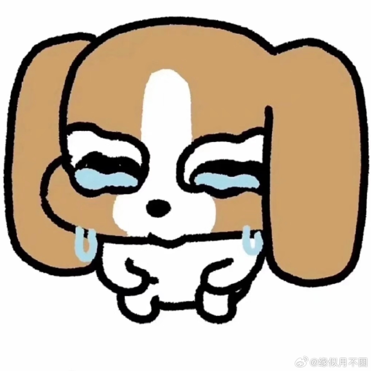 再也不抽那么多了꒦ິ^꒦ິ出的好累 