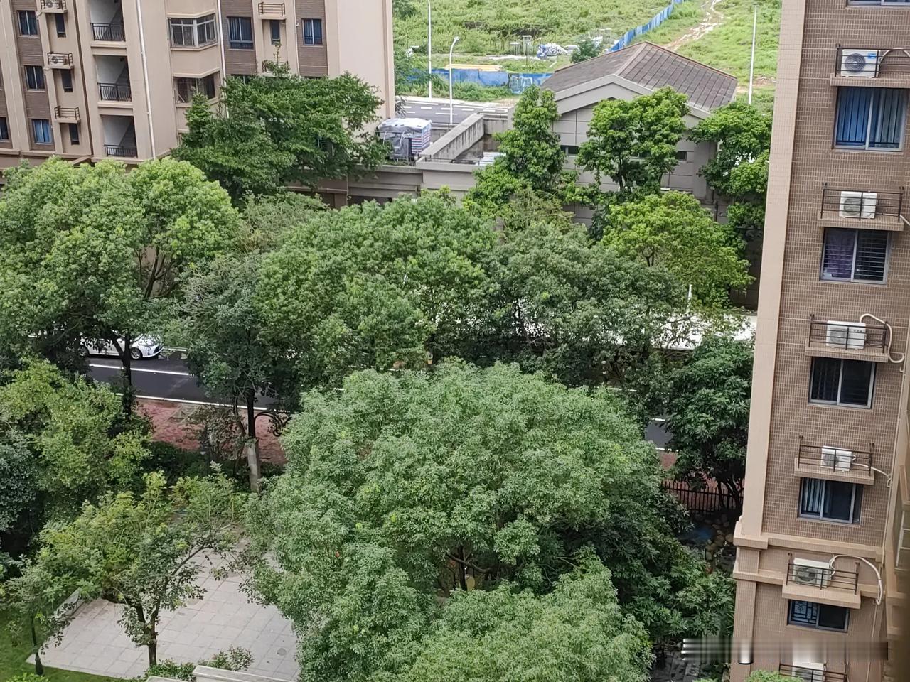 周五，雷州停课，上午，风平浪静！
难怪有网友总结：在狂风暴雨中上课，在风平浪静中