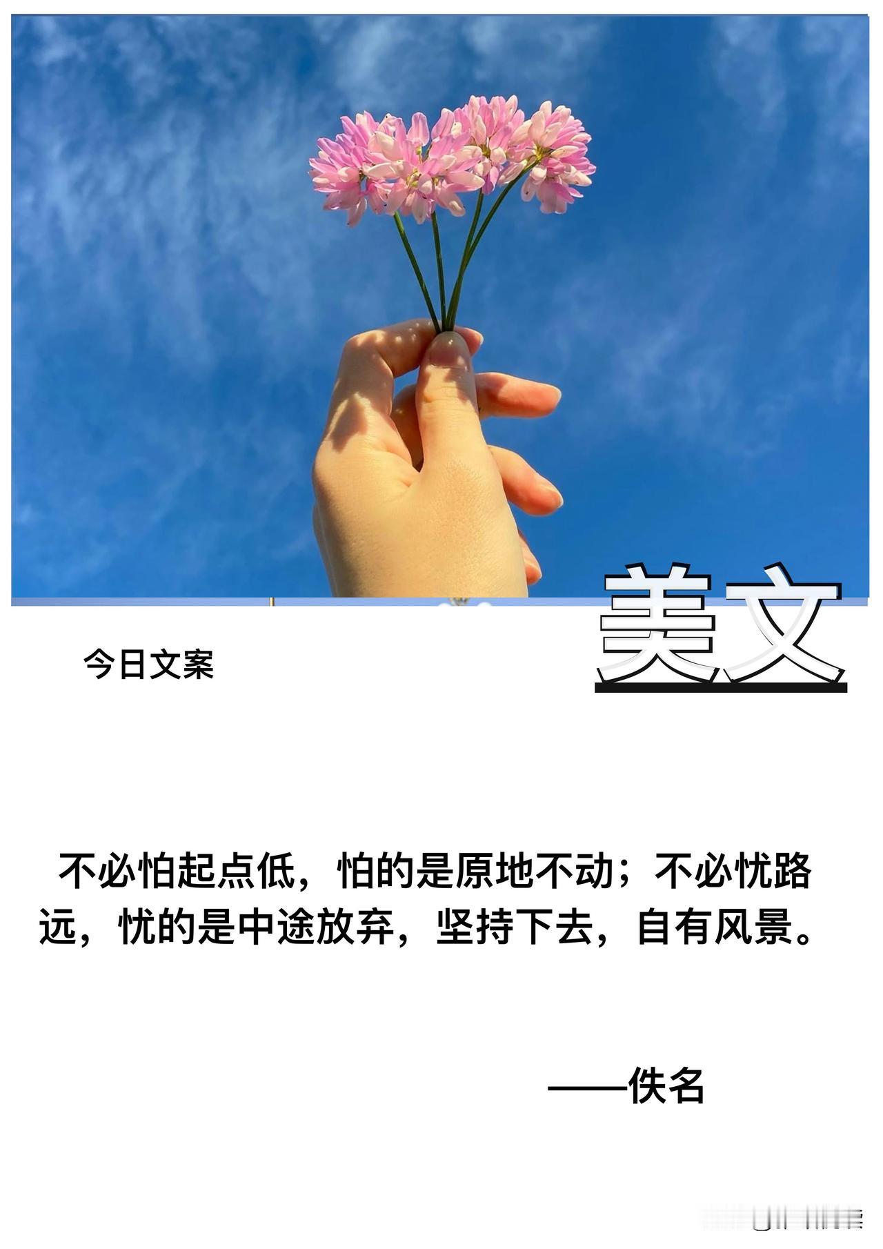 不必怕起点低

怕的是原地不动

不必忧路远

忧的是中途放弃

坚持下去

自