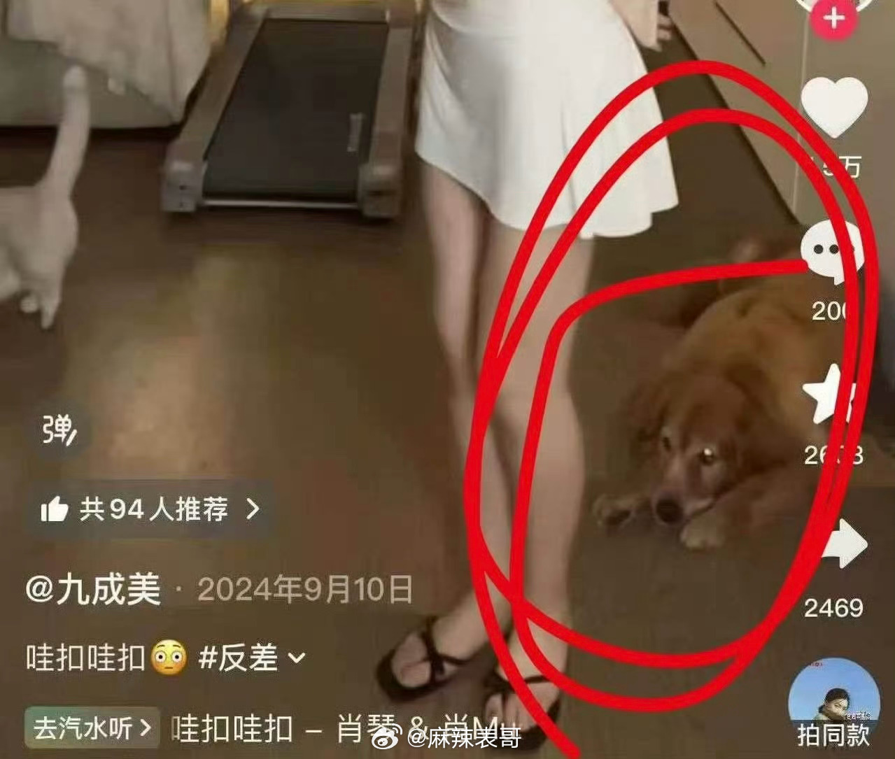 田栩宁这个口罩还有九成美的同款狗狗都对上了不知道这次要怎么解释 