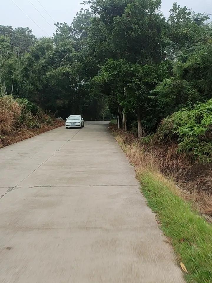 上周回了趟外婆家，特意没走高速，沿着乡道晃了四十分钟，撞见的风景比手机里存的所有