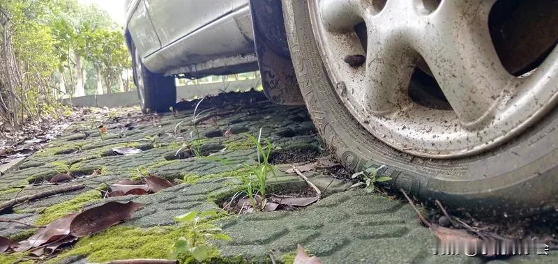 长时间停放汽车可得多留意。电瓶是重点，每隔5到7天启动车辆运行10分钟以上，或者