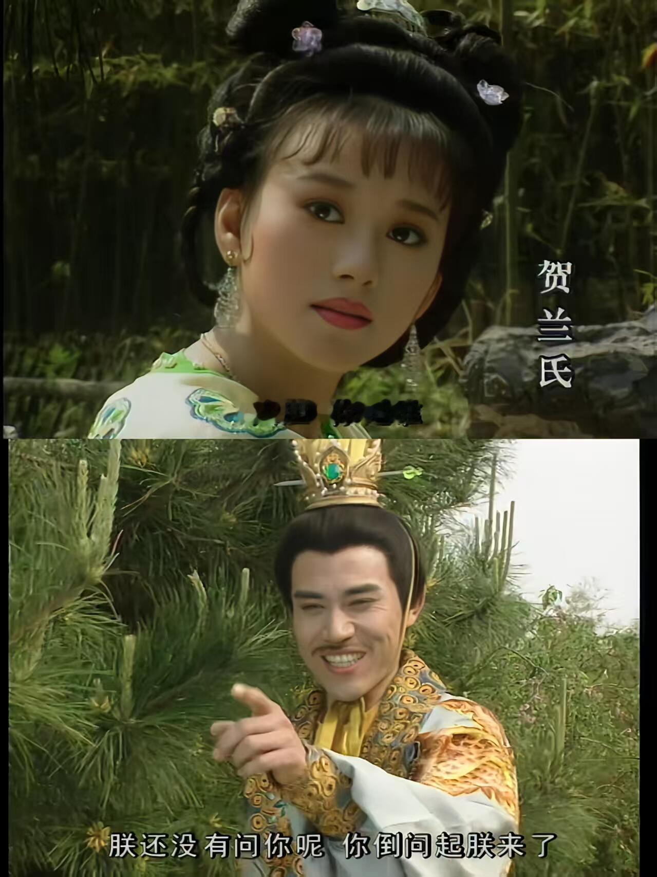 重温经典老剧《武则天》，武媚娘的小侄女兰儿进宫，瞬间搅起宫廷风云。李治的目光一下
